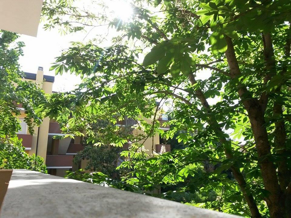 La Palma Appartement